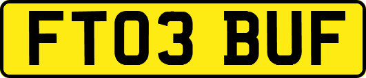 FT03BUF