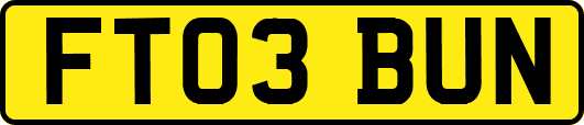 FT03BUN