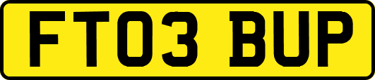 FT03BUP