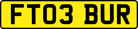 FT03BUR