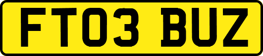 FT03BUZ
