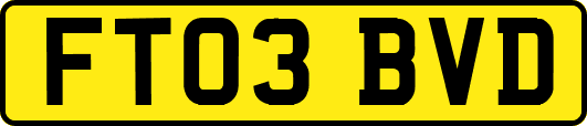 FT03BVD