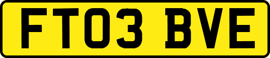 FT03BVE