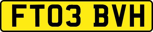 FT03BVH