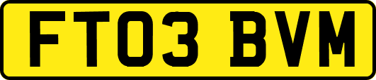 FT03BVM