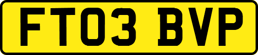 FT03BVP