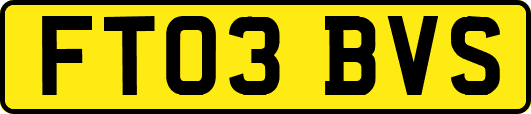 FT03BVS