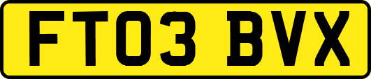 FT03BVX