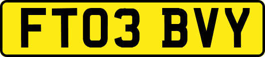 FT03BVY