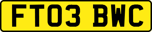 FT03BWC