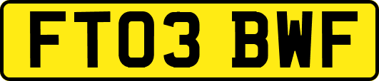 FT03BWF