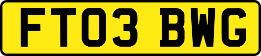 FT03BWG