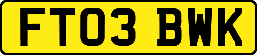 FT03BWK