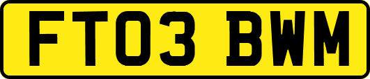 FT03BWM