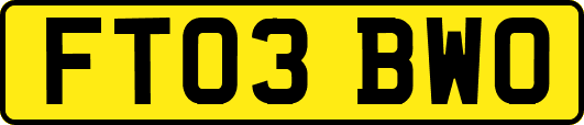 FT03BWO