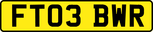 FT03BWR
