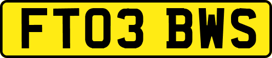 FT03BWS