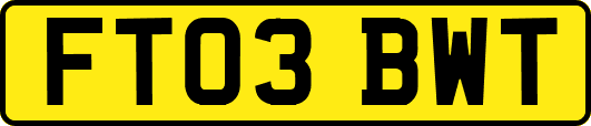 FT03BWT
