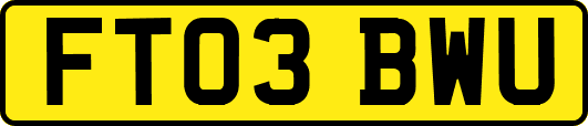 FT03BWU