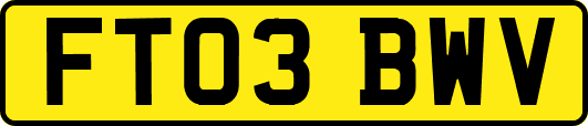 FT03BWV