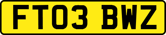 FT03BWZ