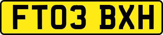 FT03BXH