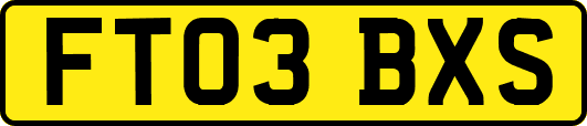 FT03BXS