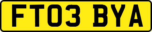 FT03BYA