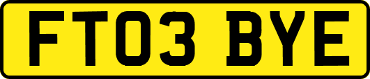 FT03BYE