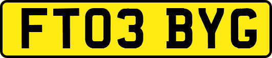 FT03BYG