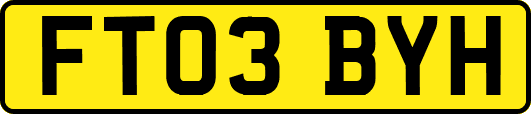 FT03BYH