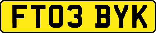 FT03BYK