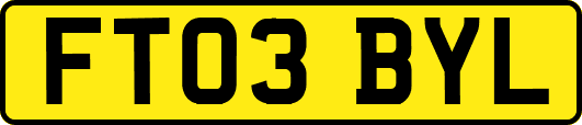 FT03BYL