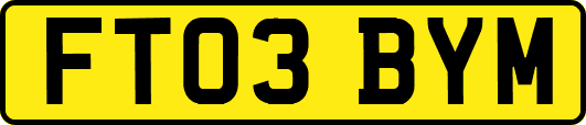 FT03BYM