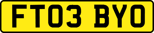 FT03BYO