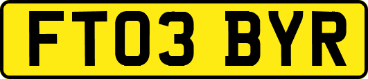 FT03BYR