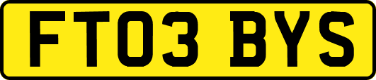 FT03BYS