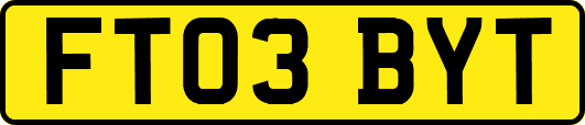 FT03BYT