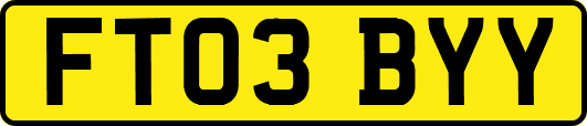 FT03BYY