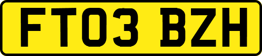 FT03BZH