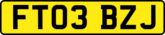 FT03BZJ