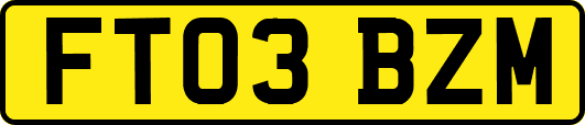 FT03BZM