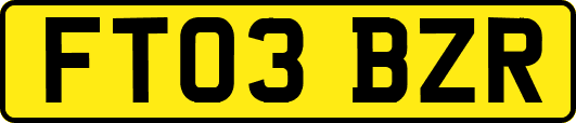 FT03BZR