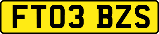 FT03BZS
