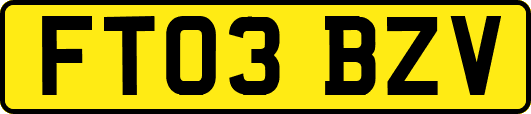 FT03BZV
