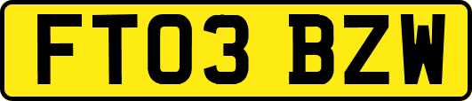 FT03BZW