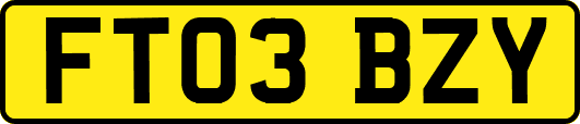 FT03BZY