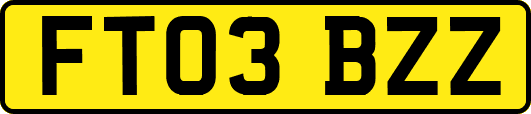 FT03BZZ
