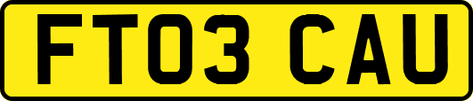 FT03CAU
