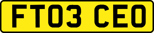 FT03CEO